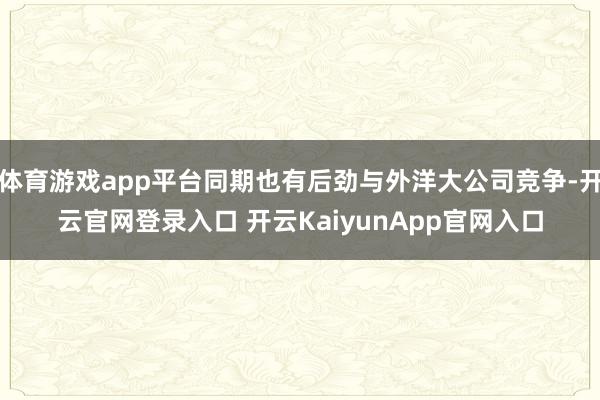 体育游戏app平台同期也有后劲与外洋大公司竞争-开云官网登录入口 开云KaiyunApp官网入口