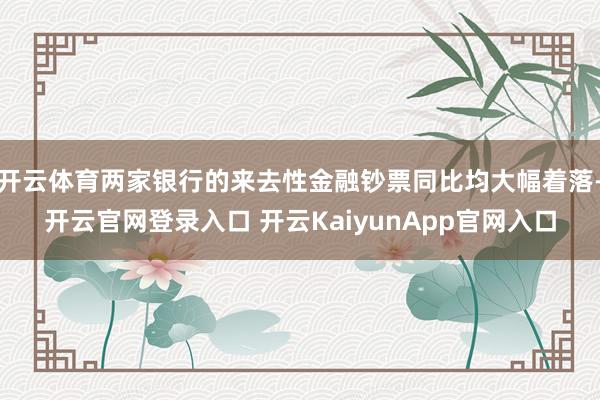 开云体育两家银行的来去性金融钞票同比均大幅着落-开云官网登录入口 开云KaiyunApp官网入口